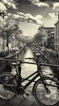 操逼日韩av-文化边界与网络伦理，对‘操逼日韩AV’现象的理性思考