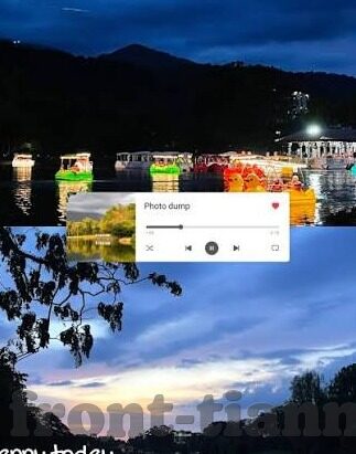 大象传媒在线观看下载-探索大象传媒，在线观看与下载的多元化体验
