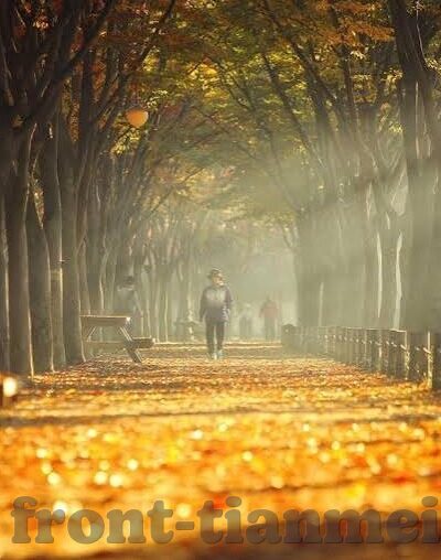 果冻传媒视频在线播放免费观看-探索果冻传媒视频，在线播放的免费盛宴
