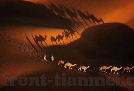 精品视频一区二区-精品视频一区二区，网络文化新风尚的深度剖析