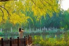 久久精品国产亚洲av麻豆-国产影视新视角，一一揭秘久久精品国产亚洲av麻豆背后的艺术与市场