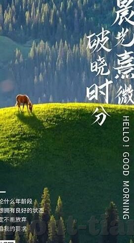 麻豆av免费看片-橄榄枝影业成为心中航标——电影迷的快速解锁之旅