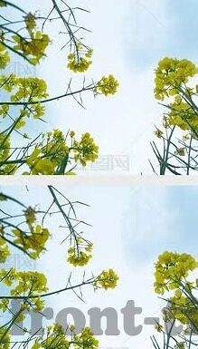 糖心视频app破解版-免费破解探访之真谛——探寻糖心视频app的深层次诱惑