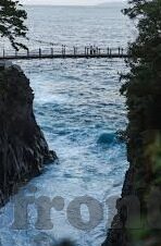 糖心vlog在线入口安卓-探索甜趣世界，深入糖心Vlog的安卓在线之旅